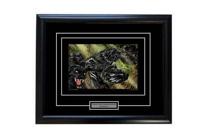 Collectors Choice Signature Series Framed Art
